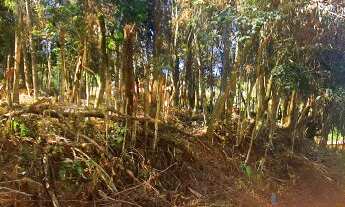 Imagem 5: ATIBAIA - Terreno em condomínio - Aceita carro. Ref. 3331