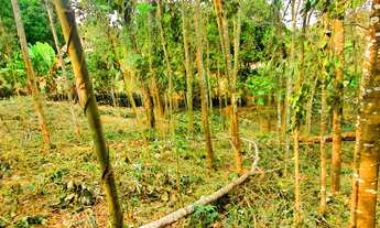 Imagem 7: ATIBAIA - Jardim Estância Brasil - Ac.carro. Ref. 3385