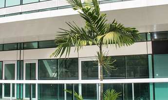 Imagem 5: Loja para Venda em Rio de Janeiro, BARRA DA TIJUCA