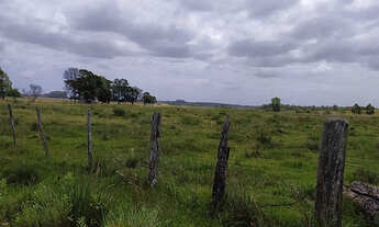 Imagem 2: Chácara para Venda em Quinta Rio Grande-RS - 1381
