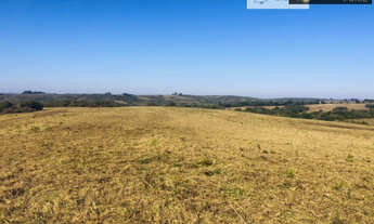 Imagem: Fazenda para Venda em Herval-RS 288 hectares