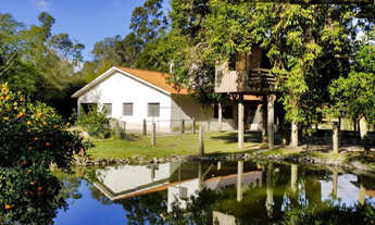 Imagem: Sítio para Venda em Centro Capão do Leão-RS