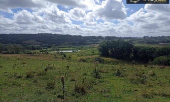 Imagem: Sítio a Venda no bairro Monte Bonito