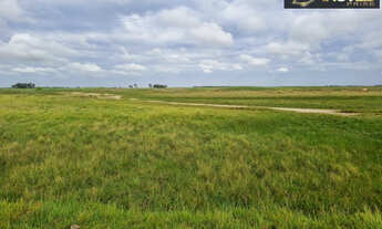 Imagem: Fazenda Ideal para Pecuária em Rio Grande-RS