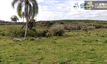 Imagem: Fazenda para Venda em Canguçu-RS