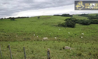 Imagem: Fazenda a Venda no bairro Zona Rural - Santana