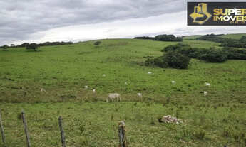Imagem: Fazenda a Venda no bairro Zona Rural - Santana