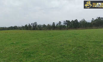 Imagem: Fazenda para Venda em Canguçu-RS
