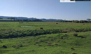 Imagem 7: Fazenda Pecuária de excelência para Venda em Cristal-RS