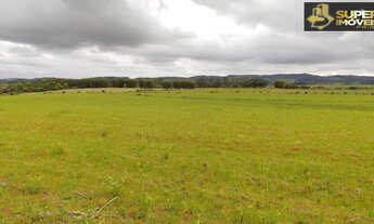 Imagem 6: Fazenda Espetacular no Capão do Leão-RS próximo de Pelotas