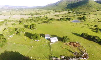 Imagem: Fazenda a Venda em Herval-RS - Ótima oportunidade