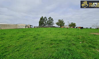 Imagem: Fazenda 100 Aproveitamento na Colônia