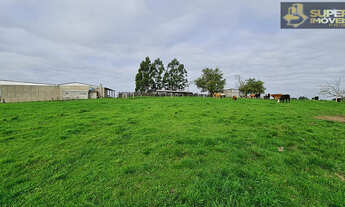 Imagem: Fazenda 100 Aproveitamento na Colônia