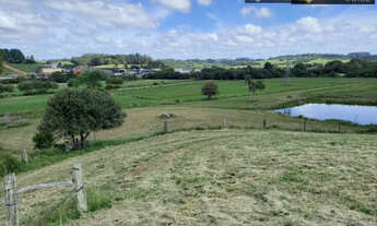 Imagem: Sítio para Venda em Centro São Lourenço