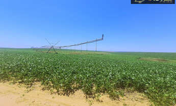 Imagem 4: Fazenda de Excelência no RS 2.100 hectares Cachoeira do Sul