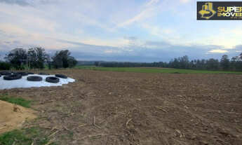 Imagem 1: Fazenda Espetacular no Capão do Leão-RS próximo de Pelotas