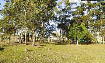 Imagem 6: Chácara para Venda em Quinta Rio Grande-RS - 1381