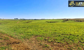 Imagem: Fazenda de Primeira em Bagé-RS