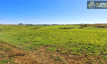 Imagem: Fazenda de Primeira em Bagé-RS