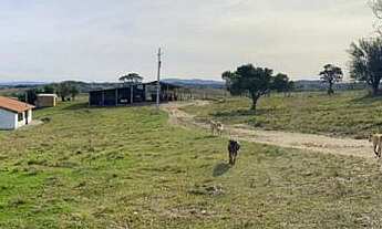 Imagem: Fazenda para Venda no 2º Distrito de Piratini-RS
