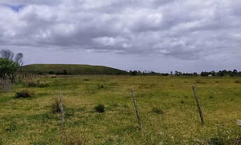 Imagem 7: Chácara para Venda em Quinta Rio Grande-RS - 1381