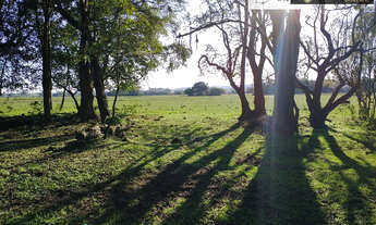Imagem 4: Fazenda Pecuária de excelência para Venda em Cristal-RS