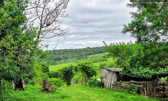 Imagem: Belíssima Chácara 3ha próximo pedágio