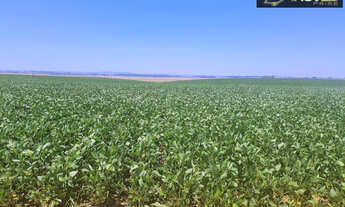 Imagem 2: Fazenda de Excelência no RS 2.100 hectares Cachoeira do Sul