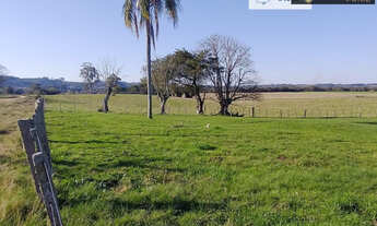 Imagem: Fazenda Pecuária de excelência para Venda