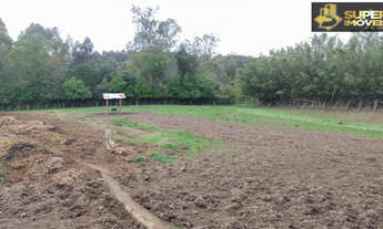 Imagem 3: Fazenda Espetacular no Capão do Leão-RS próximo de Pelotas