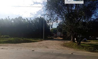 Imagem: Terreno para Venda em Três Vendas Pelotas-RS