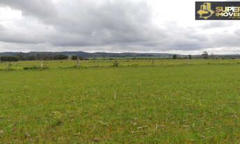Imagem 7: Fazenda Espetacular no Capão do Leão-RS próximo de Pelotas