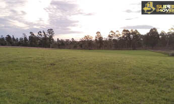 Imagem 4: Fazenda Espetacular no Capão do Leão-RS próximo de Pelotas
