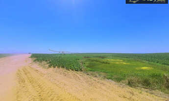 Imagem 6: Fazenda de Excelência no RS 2.100 hectares Cachoeira do Sul