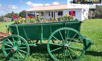 Imagem: Sítio para Venda em Centro Morro Redondo-RS