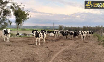Imagem 5: Fazenda Espetacular no Capão do Leão-RS próximo de Pelotas