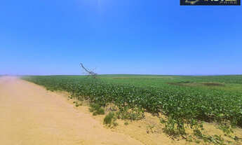 Imagem: Fazenda de Excelência no RS 2.100 hectares