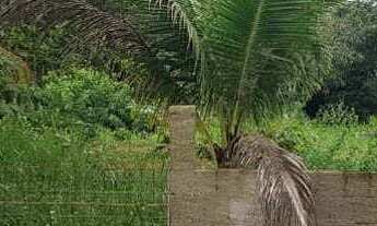 Imagem 2: Na Rua Airton Senna Da Silva