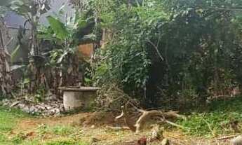 Imagem: Terreno à venda em Jaraguá do Sul, Vila