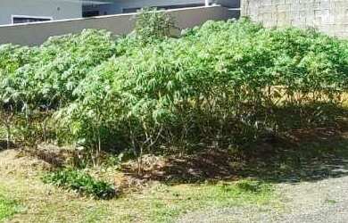 Imagem 2: Terreno à venda em Jaraguá do Sul, Rau