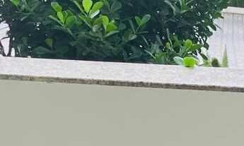 Imagem 6: Apartamento à venda em Jaraguá do Sul, Vila lenzi, com 3 quartos, 100,91m²