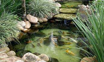 Imagem 5: Apartamento à venda em Jaraguá do Sul, Vila Lenzi, com 3 quartos, 100,91m²