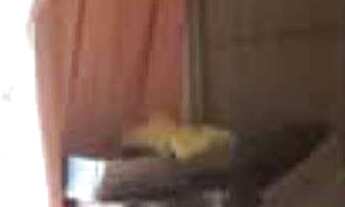 Imagem 7: Casa à venda em Jaraguá do Sul, Chico de Paulo, com 3 quartos, 554m²