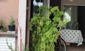 Imagem: Casa geminada à venda em Jaraguá do Sul