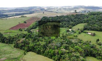 Imagem 7: Sítio a Venda no bairro Corredeira - Tomazina, PR