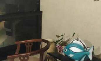 Imagem 2: Apartamento para Temporada em Itapema, Meia Praia, 3 dormitórios, 1 suíte, 3 banheiros, 2