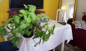 Imagem 2: Apartamento para Venda em Rio Grande, Centro, 1 dormitório, 1 banheiro