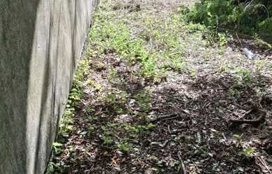 Imagem 2: Terreno para Venda em Pelotas, Recanto de Portugal