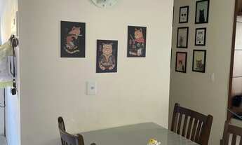 Imagem 6: Apartamento para Venda em Itapema, Casa Branca, 2 dormitórios, 1 banheiro, 1 vaga