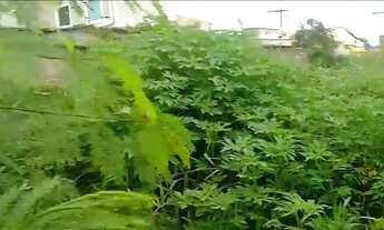 Imagem: Terreno à venda em Cabo Frio, Caminho de